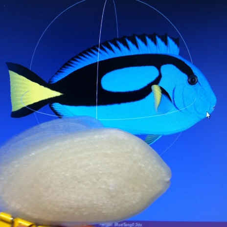 3D鱼3D打印模型,3D鱼3D模型下载,3D打印3D鱼模型下载,3D鱼3D模型,3D鱼STL格式文件,3D鱼3D打印模型免费下载,3D打印模型库