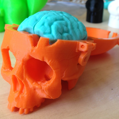 头骨与大脑3D打印模型,头骨与大脑3D模型下载,3D打印头骨与大脑模型下载,头骨与大脑3D模型,头骨与大脑STL格式文件,头骨与大脑3D打印模型免费下载,3D打印模型库