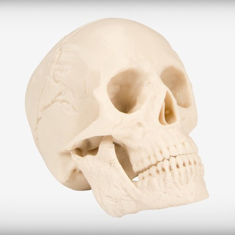 人体头骨3D打印模型,人体头骨3D模型下载,3D打印人体头骨模型下载,人体头骨3D模型,人体头骨STL格式文件,人体头骨3D打印模型免费下载,3D打印模型库