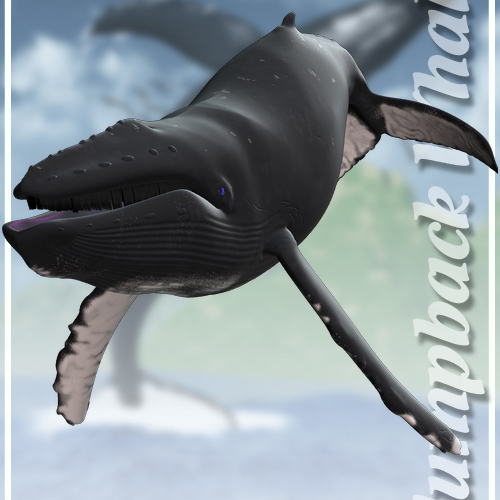 座头鲸3D打印模型,座头鲸3D模型下载,3D打印座头鲸模型下载,座头鲸3D模型,座头鲸STL格式文件,座头鲸3D打印模型免费下载,3D打印模型库