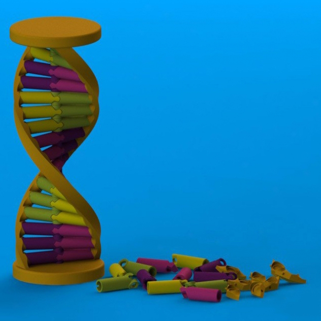 DNA模型3D打印模型,DNA模型3D模型下载,3D打印DNA模型模型下载,DNA模型3D模型,DNA模型STL格式文件,DNA模型3D打印模型免费下载,3D打印模型库